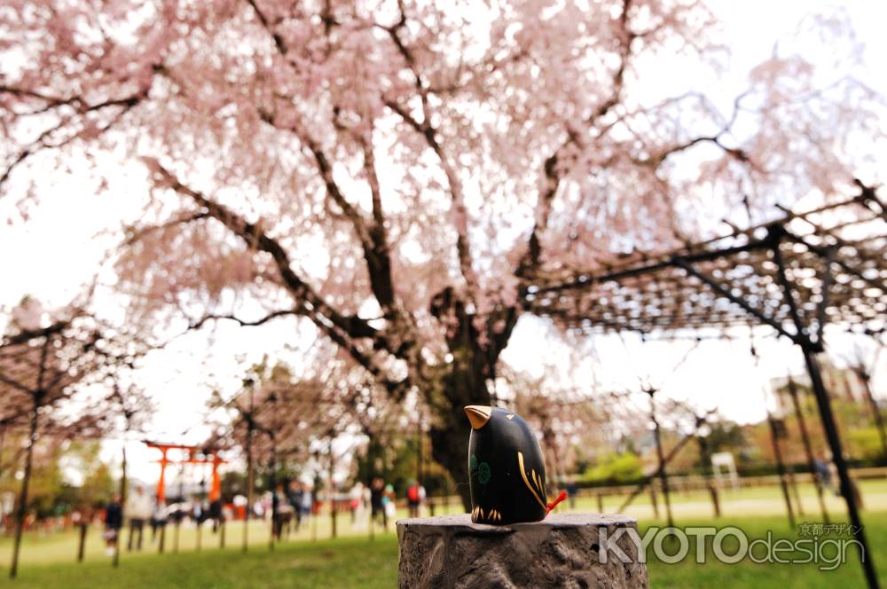 上賀茂神社　八咫烏　桜