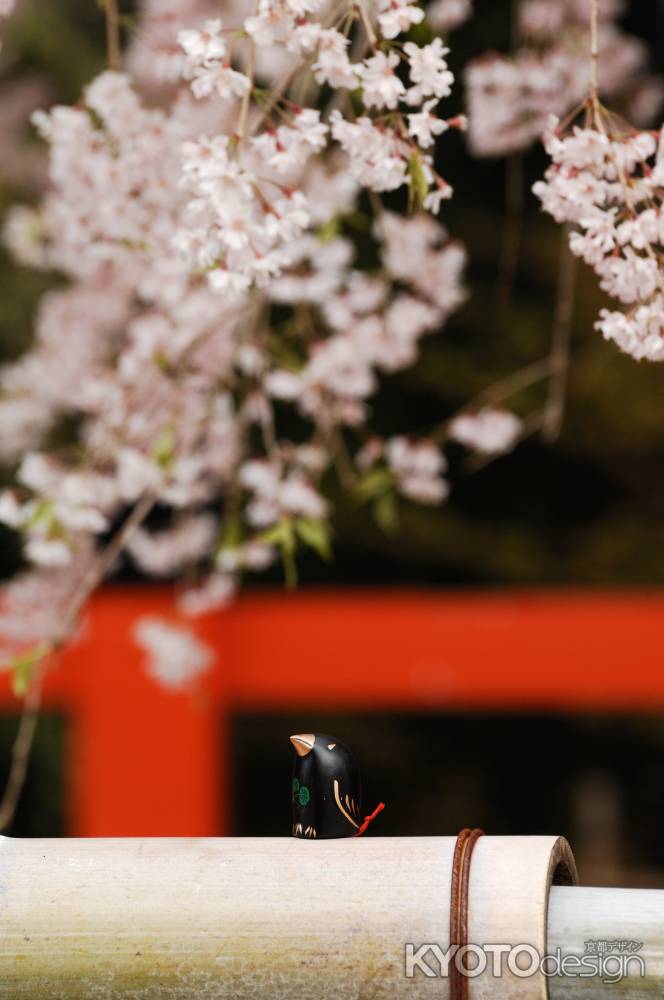 上賀茂神社　八咫烏　おみくじ　春