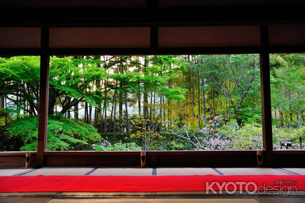 宝泉院　竹林　額縁庭園