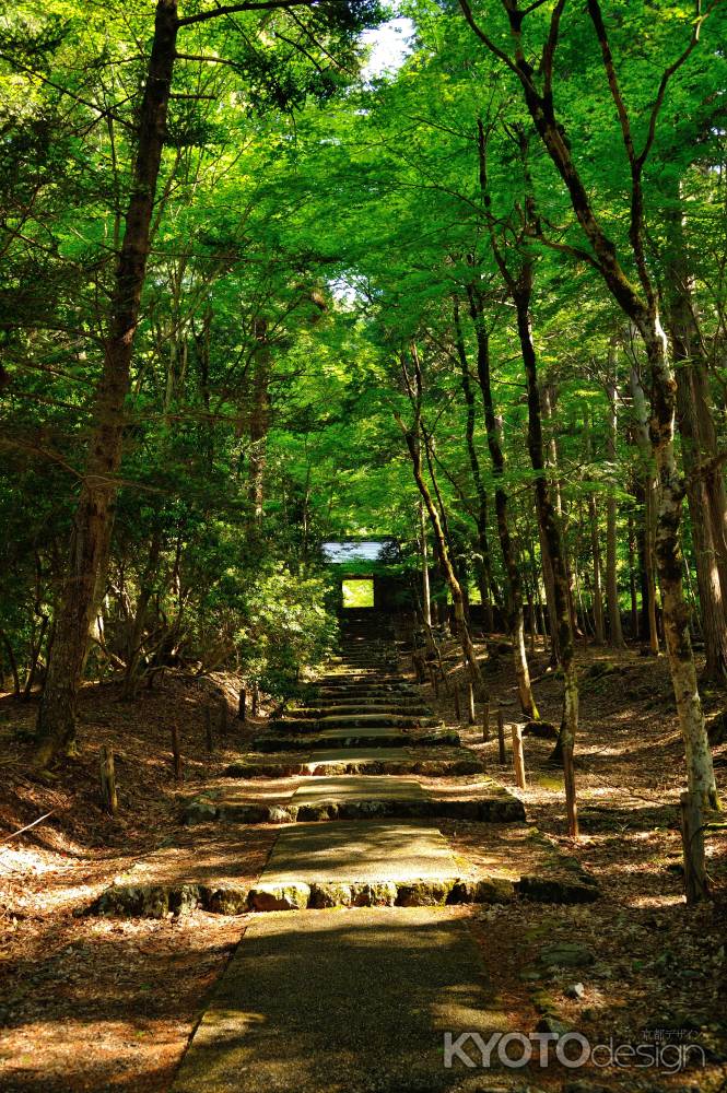 常照皇寺　参道