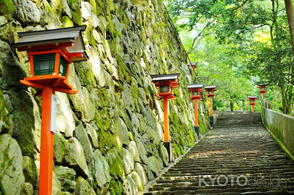 緑の九十九折の道