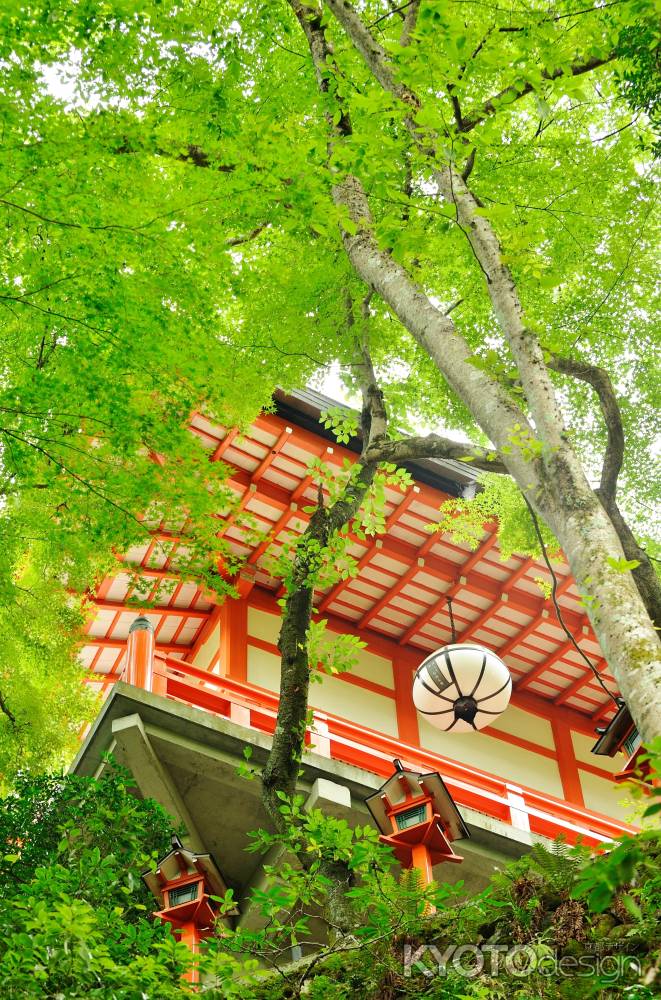 鞍馬寺　学びと修行の道　