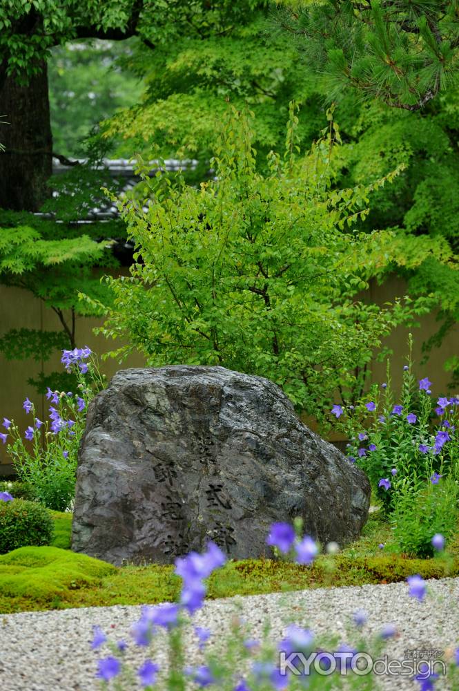 廬山寺  紫式部 邸宅址