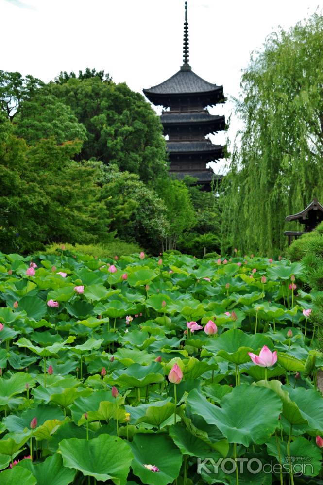 極楽浄土