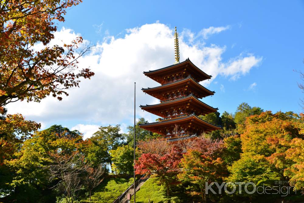 京丹後の秋