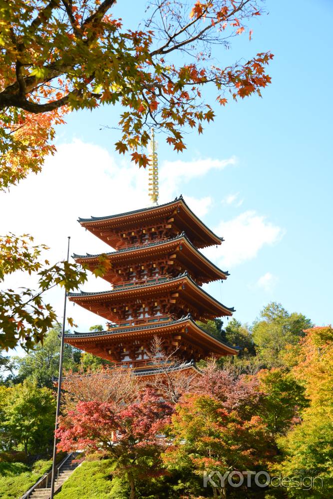 成相山成相寺　秋