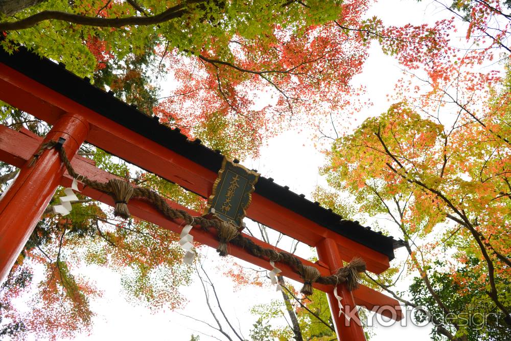 京春日の秋