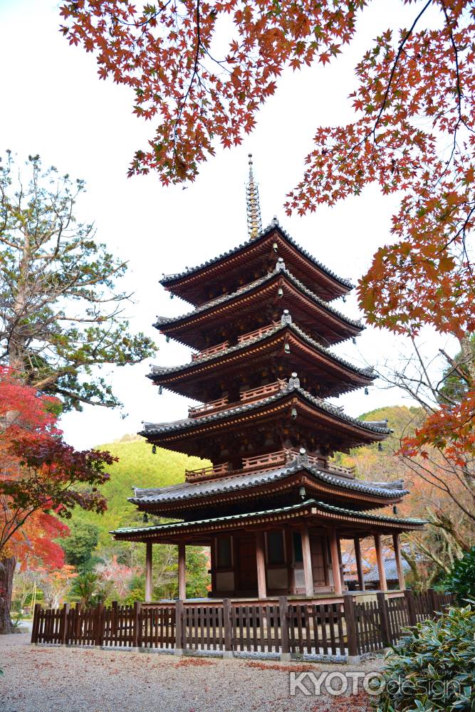 海住山寺　紅葉