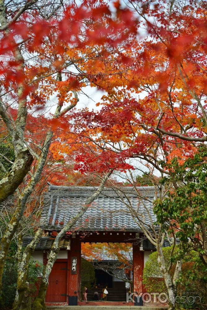 吉野門　秋