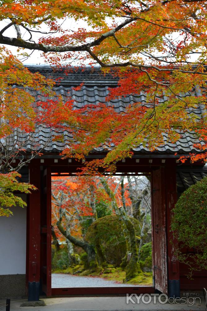 常照寺　秋