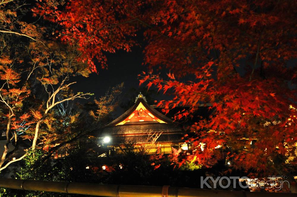 御土居の紅葉　ライトアップ