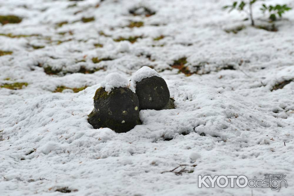 雪と遊ぶ