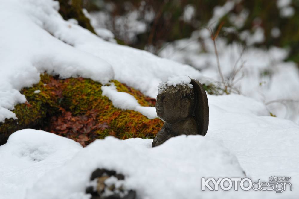 雪にも負けず