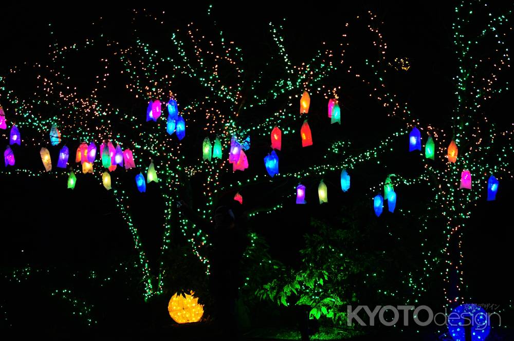 京都・冬の光宴2019 Starlight Avenue