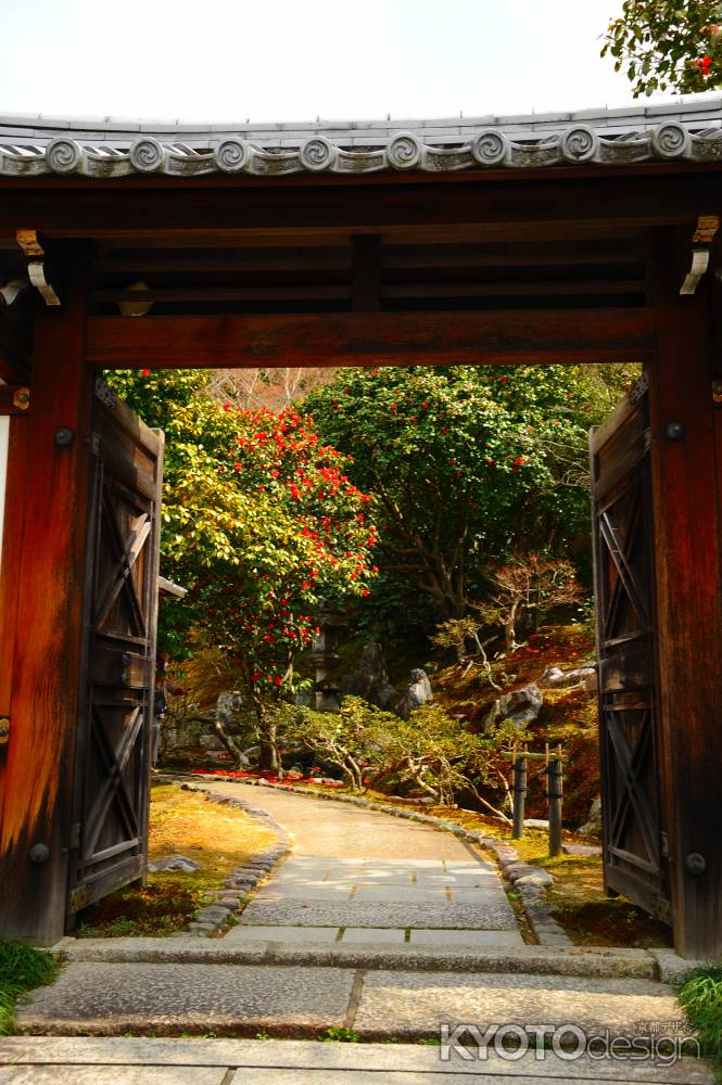 霊鑑寺　春の特別公開