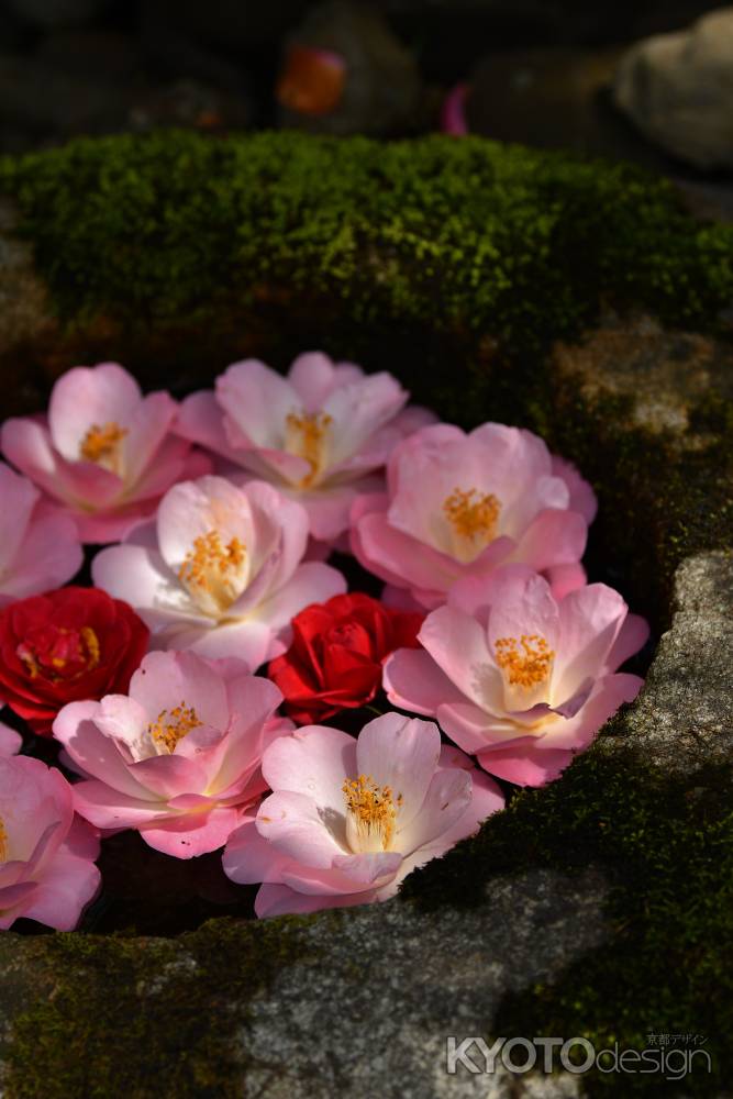 花を浮かべて