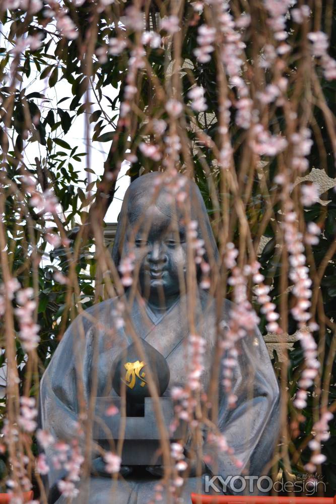 おかめさん〜もうすぐ満開ですね