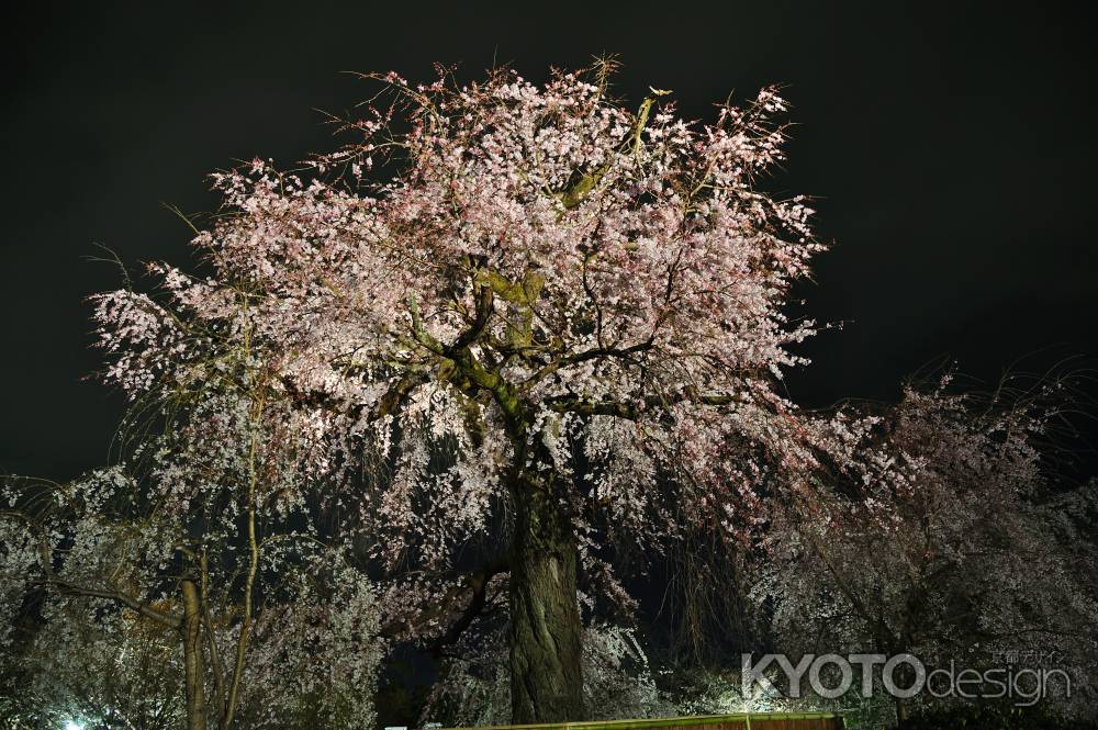 春の夜空に