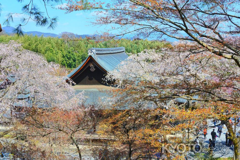 桜の中にたたずむ