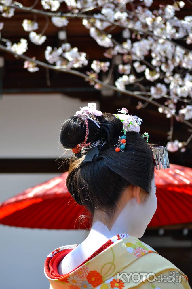 桜の茶席