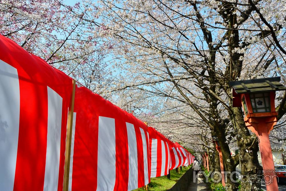 桜通り