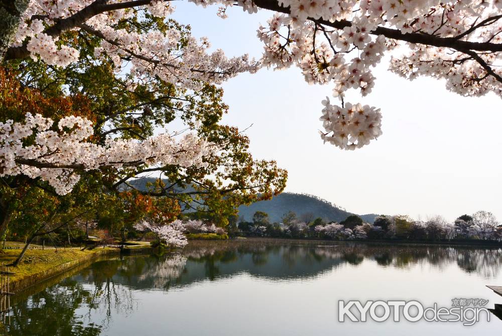 春の朝活