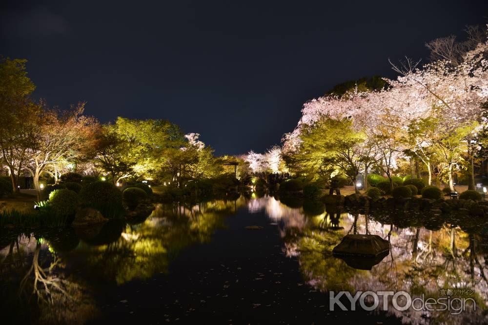 夜の花影