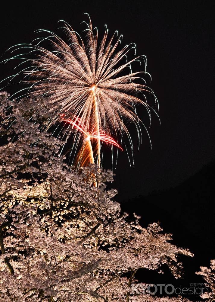 春の花火