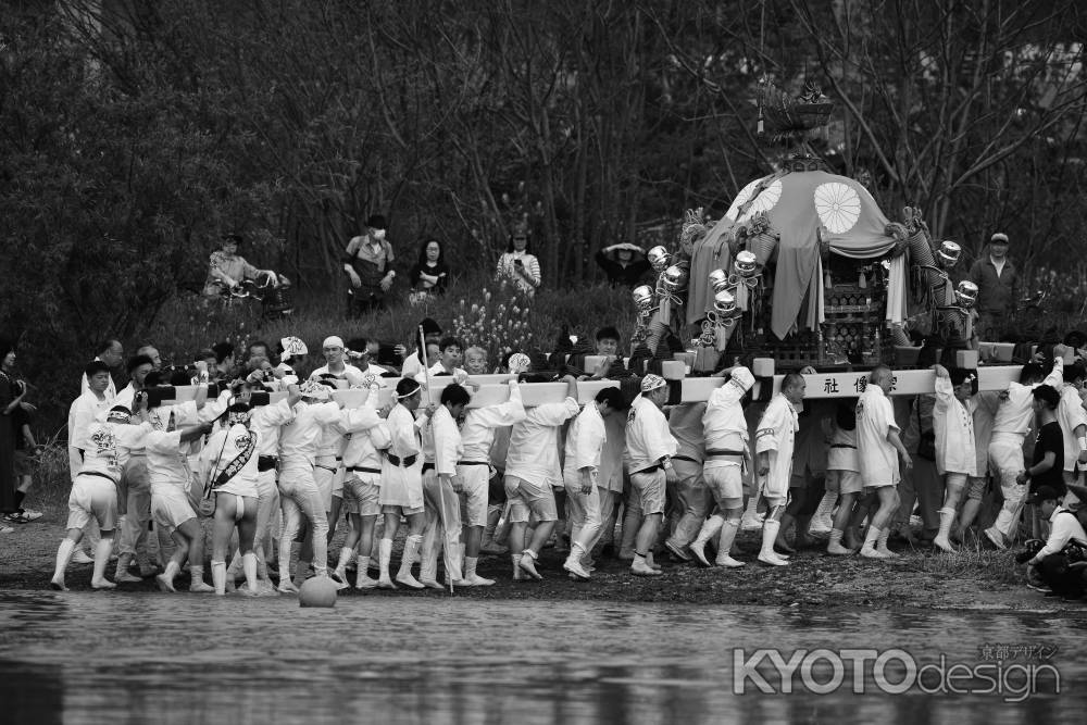 松尾大社　神幸祭　船渡御  勇壮