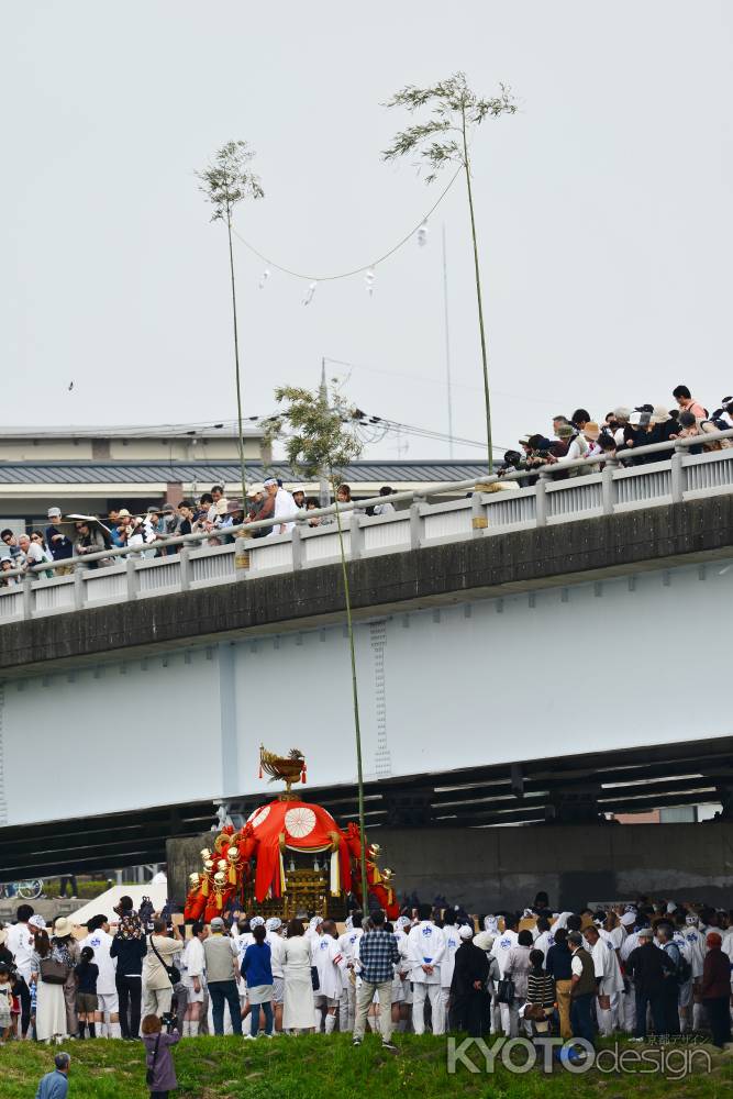 松尾大社　神幸祭　船渡御   橋は通行止め