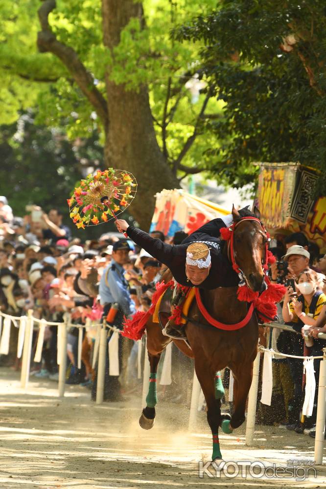 花笠がひらく