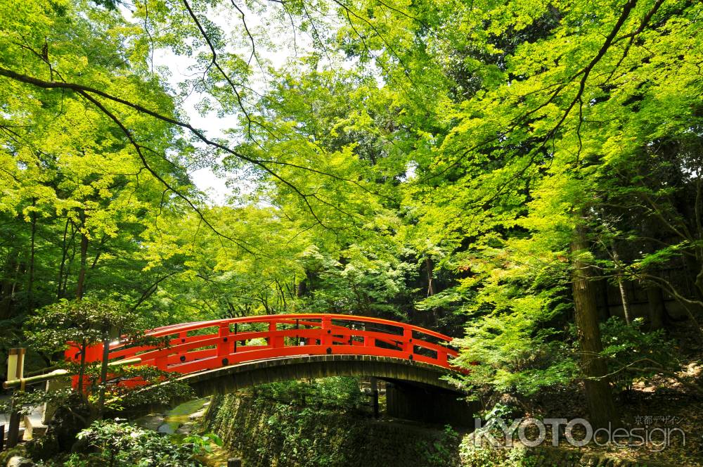 鶯橋　青もみじ