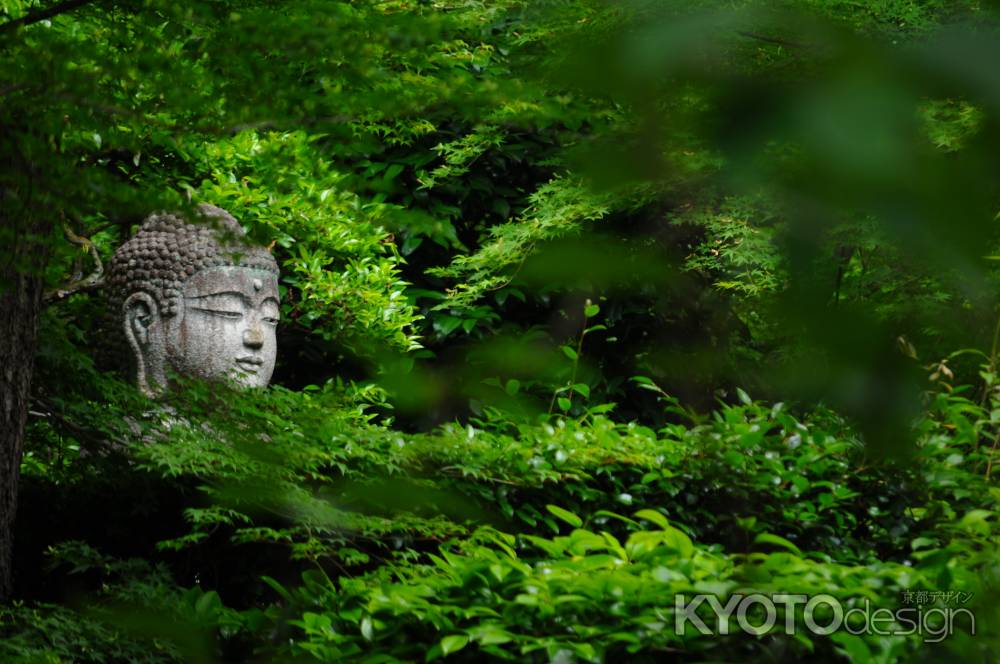 仏さまと樹々の翠緑