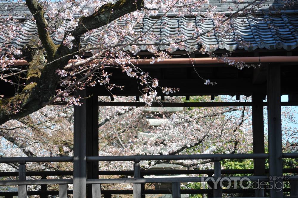 春風心地よく