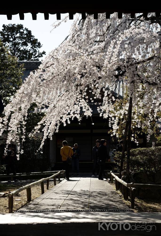 門の向こうの春