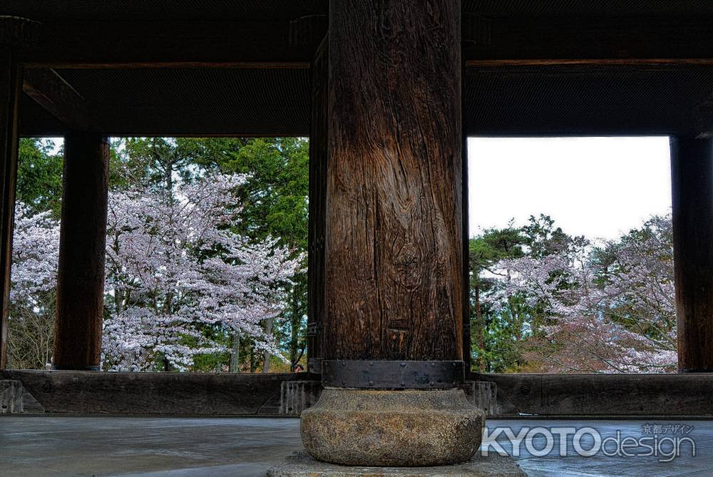 南禅寺の春