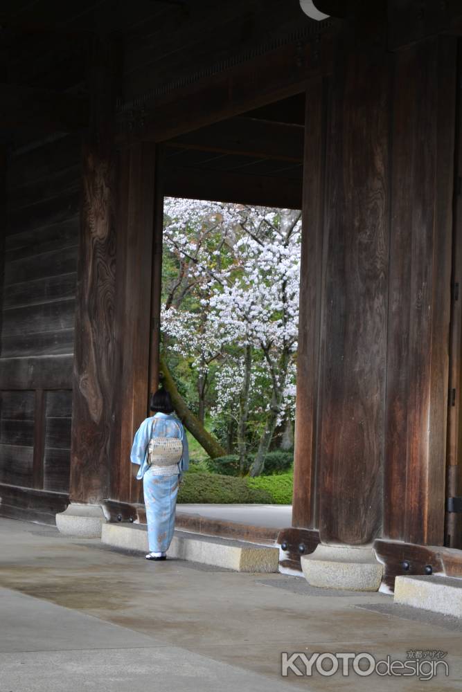 三門の花