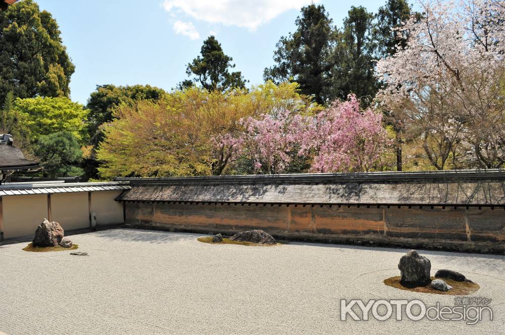 石の桜