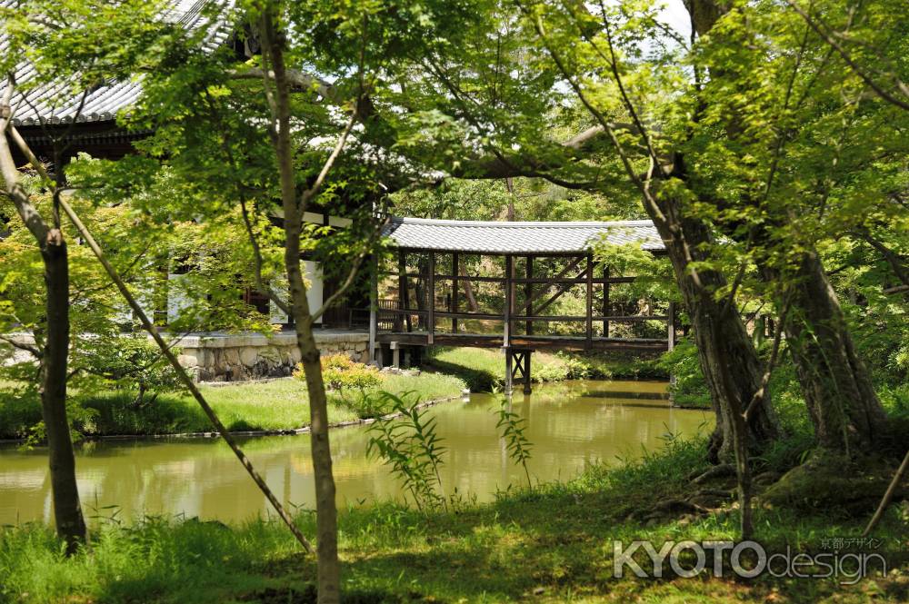 新緑の池水式庭園