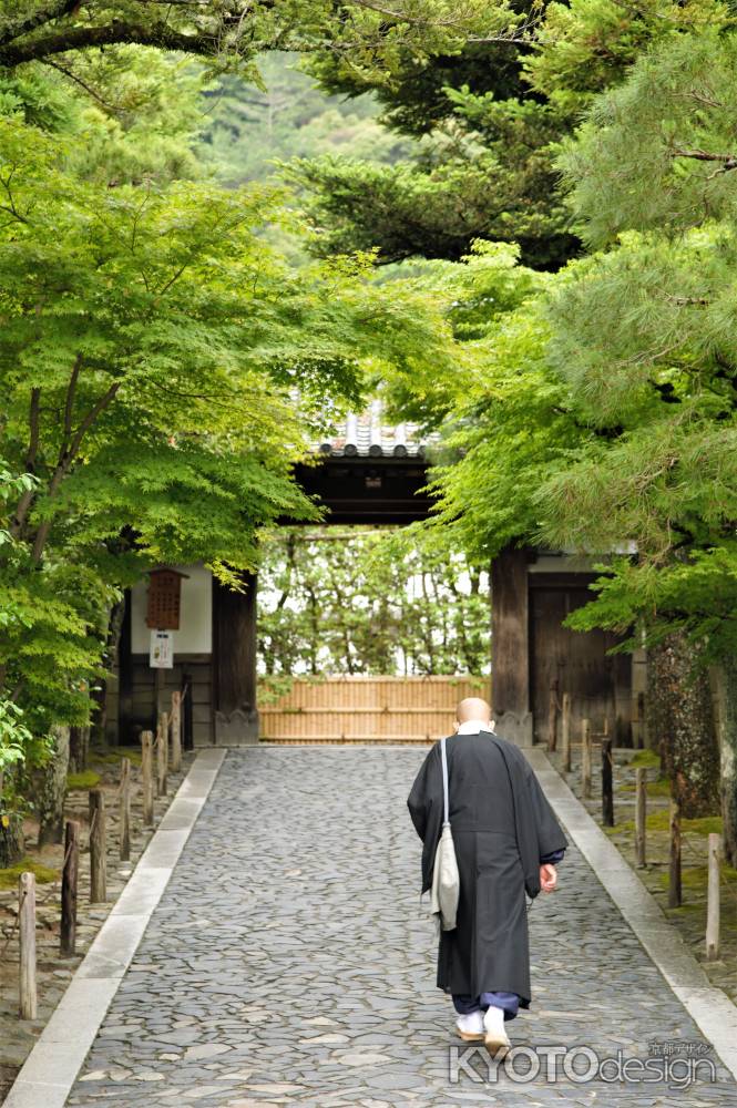 ６月のいつもの参道