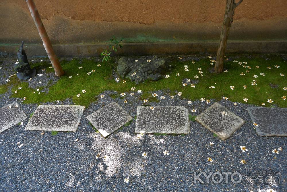 小さな木漏れ日と沙羅の花