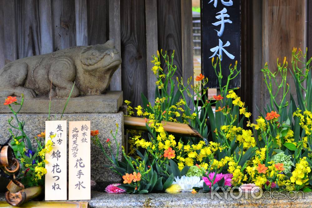 疫病退散ヒオウギ尽し　花手水