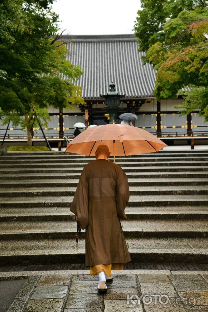 雨の歩み