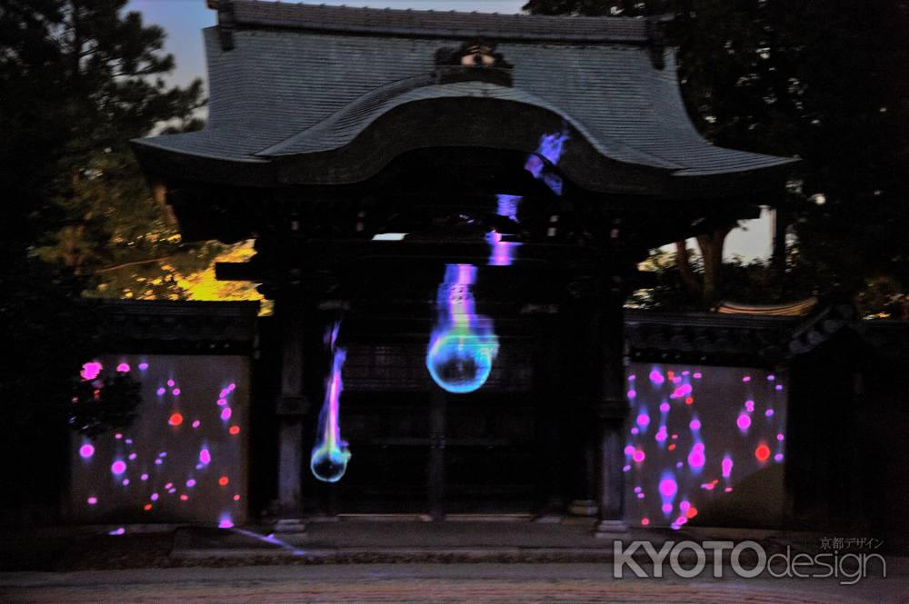 高台寺　夏の夜間特別拝観