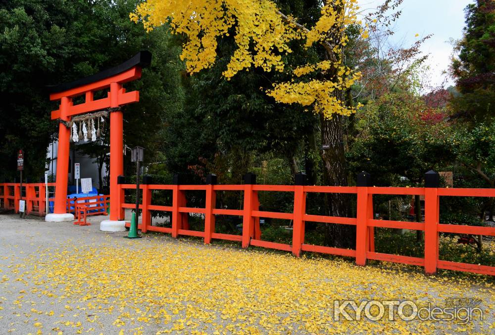 上賀茂神社　銀杏