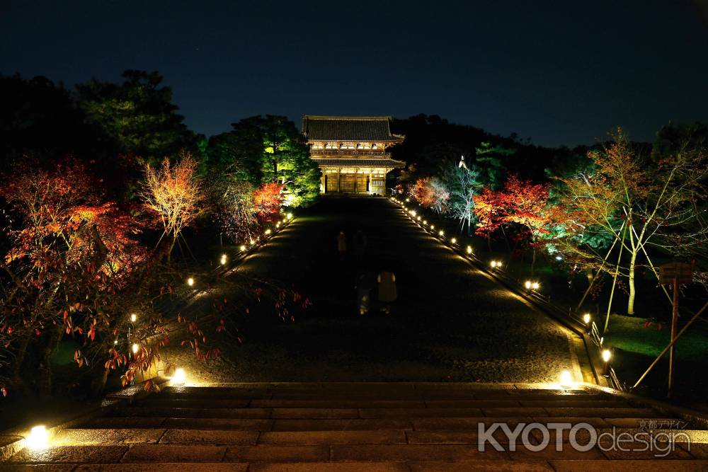 仁和寺　もみじ