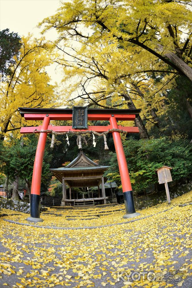 岩戸落葉神社　秋