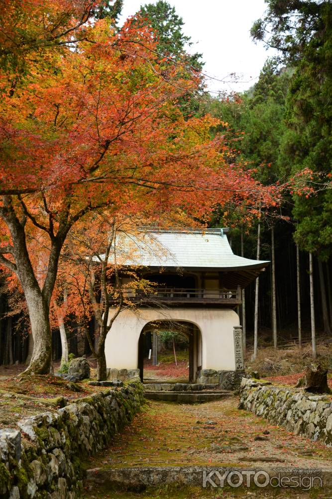 古知谷 阿弥陀寺　秋