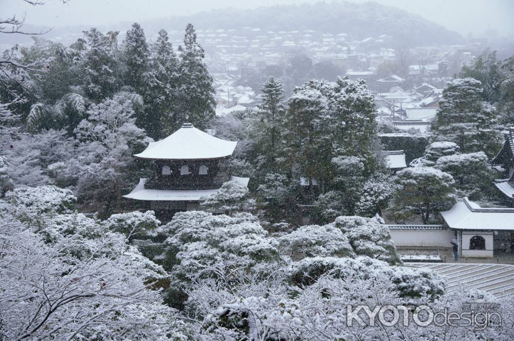 京の雪景　銀花　6-3