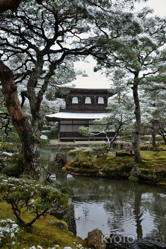 京の雪景　銀花　6-4